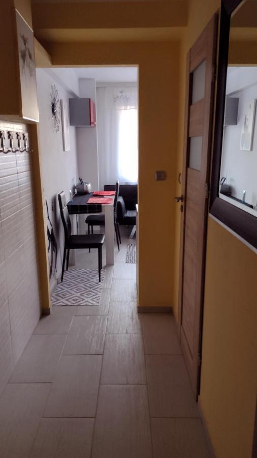 Apartament Elegant Katowice Eksteriør bilde